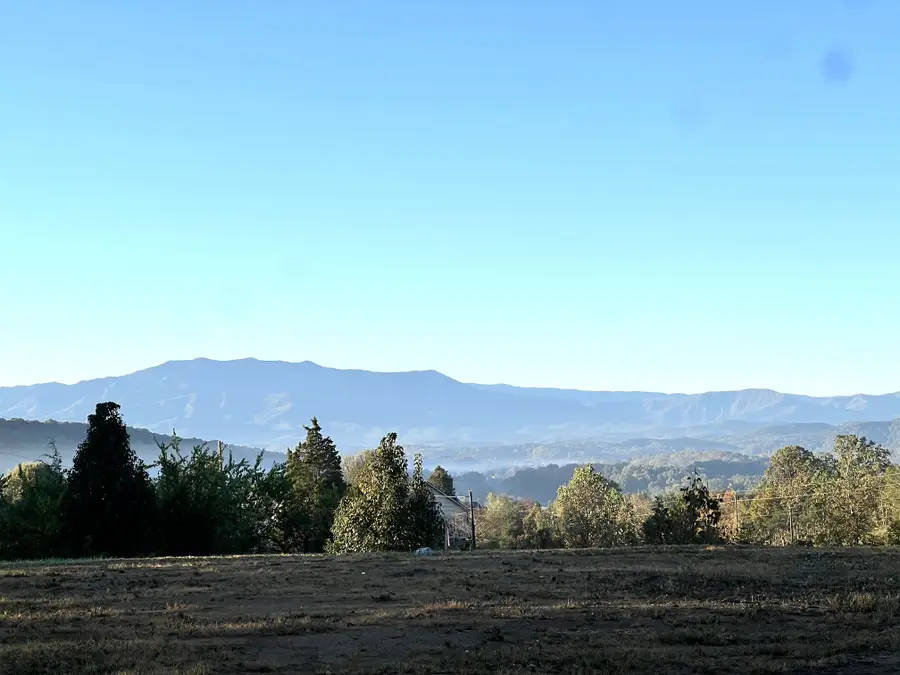 217 Megan View Ln, Sevierville, TN 37876 - #2