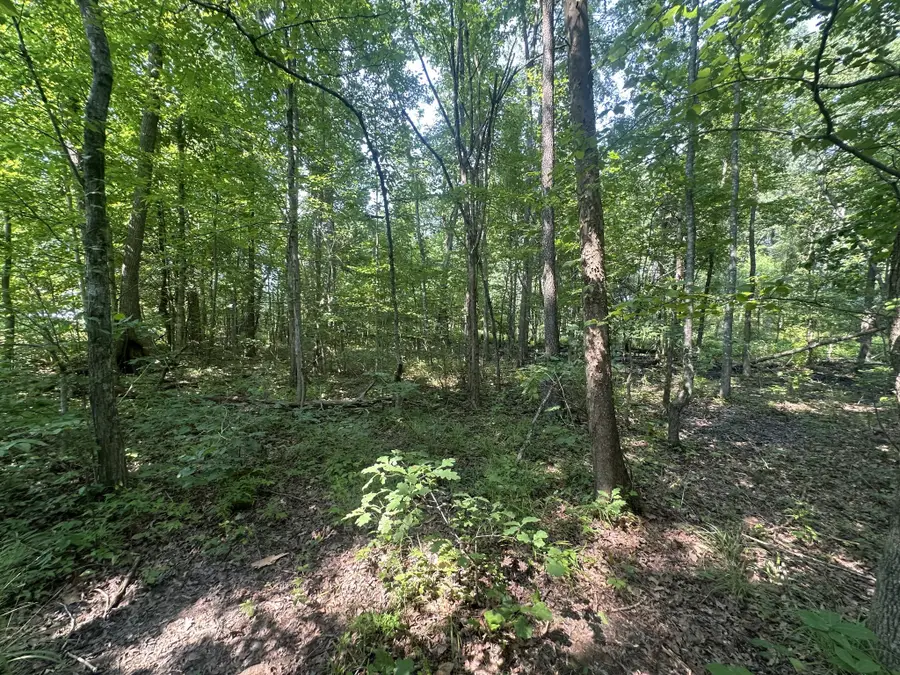 0 S Pinson Dr, White House, TN 37188 - #2