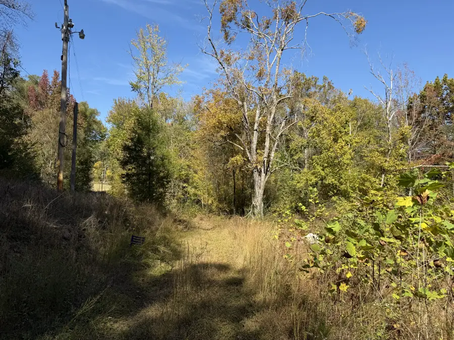 1755 Williams Rd, Pleasantville, TN 37033 - #3