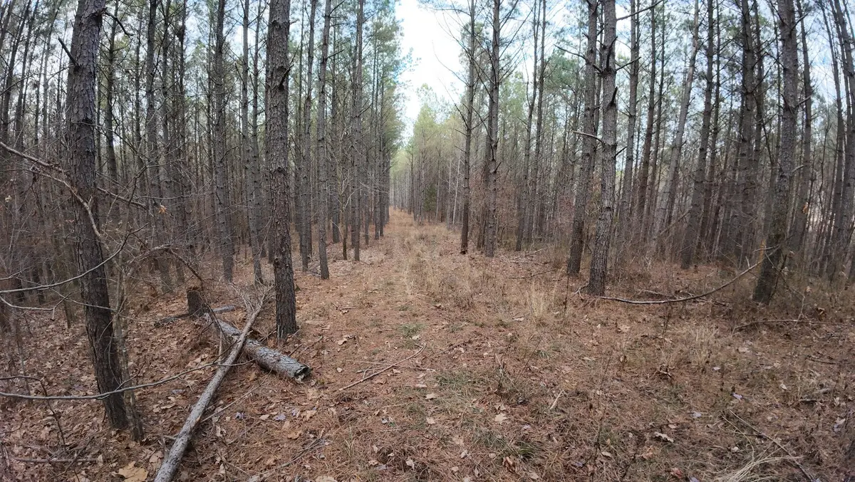 240 Brookstone Dr, Linden, TN 37096 - #1