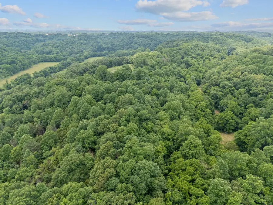 55 Thompson Hollow Rd, Taft, TN 38488 - #3