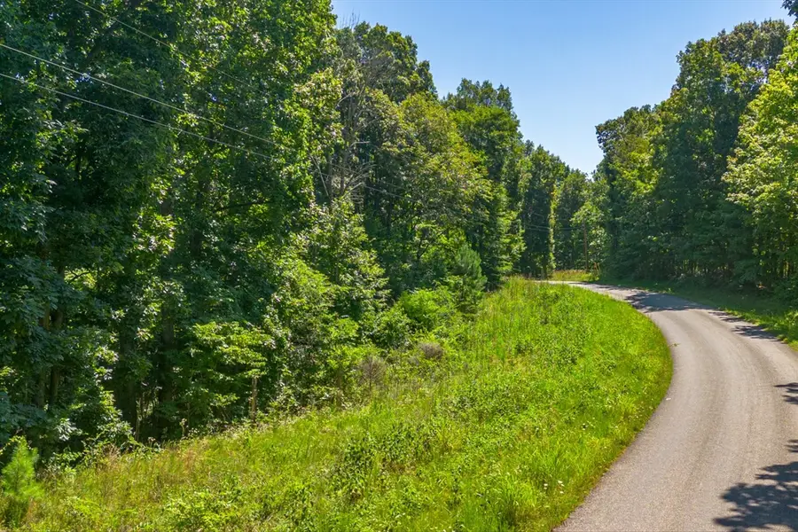 0 Chestnut Ridge Rd, Santa Fe, TN 38482 - #2