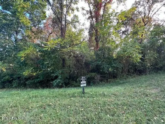 0 Smokey Quartz Blvd, New Tazewell, TN 37825 - #2