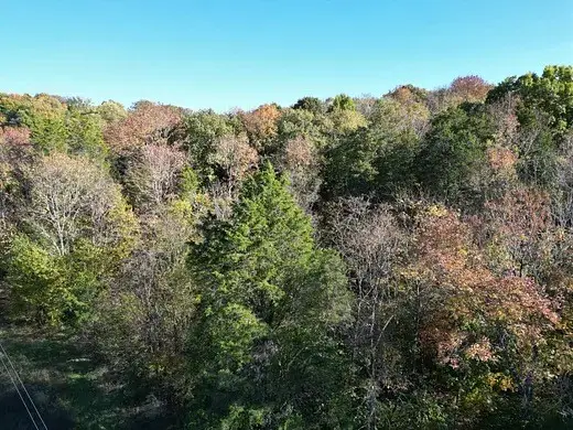 2474 Garner Rd, Mount Pleasant, TN 38474 - #1