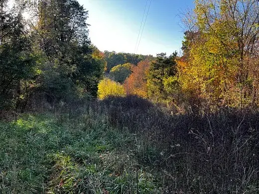 2474 Garner Rd, Mount Pleasant, TN 38474 - #2