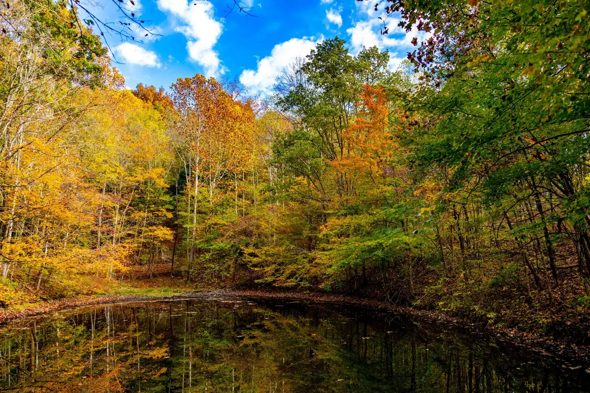 0 Robinson Rd, Thompsons Station, TN 37179 - #1