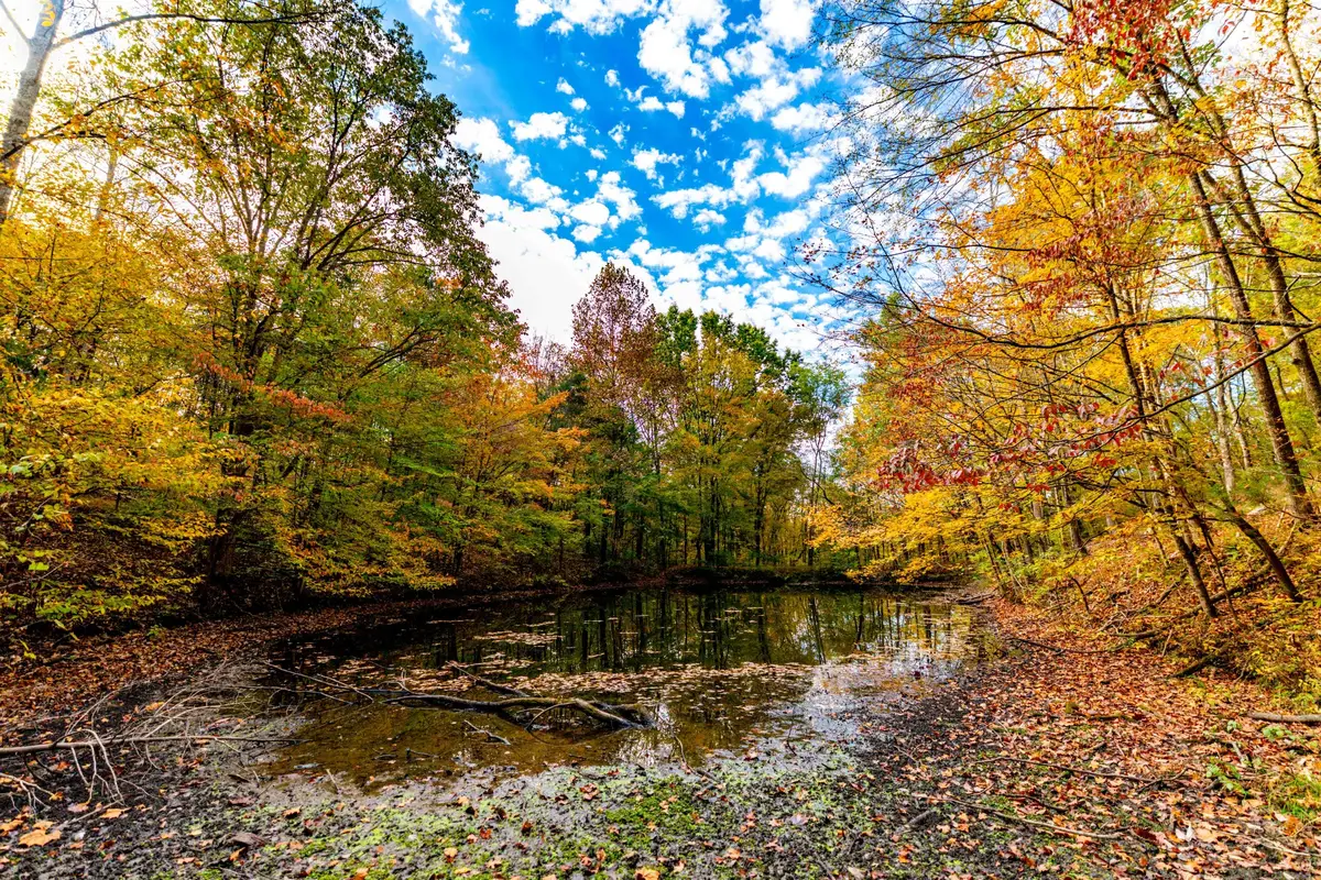 0 Robinson Rd, Thompsons Station, TN 37179 - #1