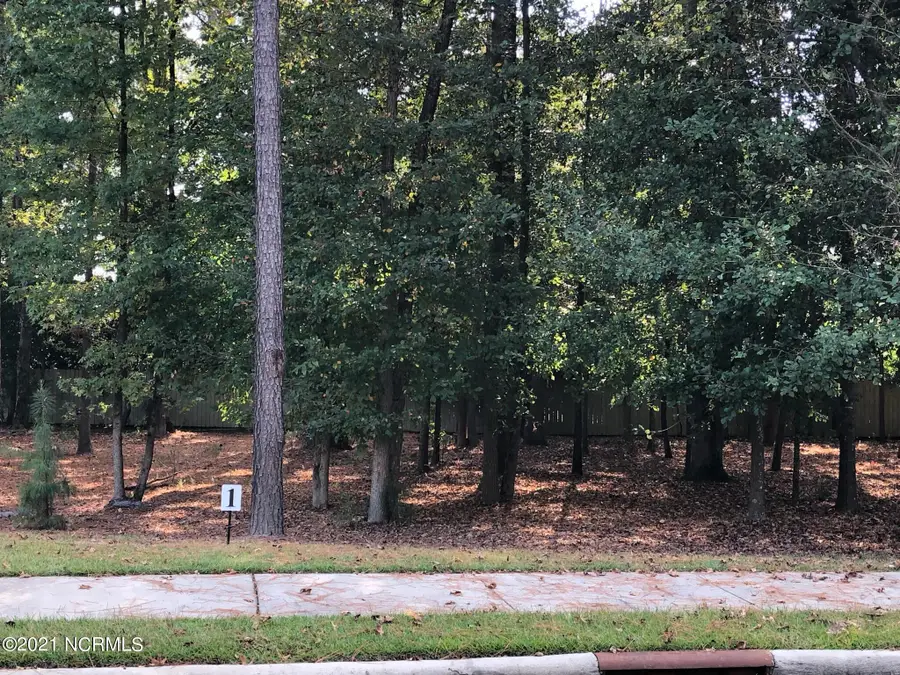 101 Village Circle, Clinton, NC 28328 - #3