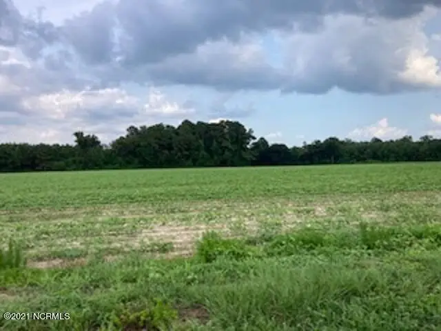 0 Waycross Road, Turkey, NC 28393 - Image #3