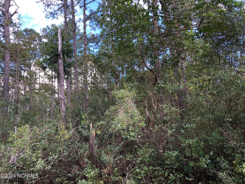 73,74,75 Robin Road, Boiling Spring Lakes, NC 28461 ERA