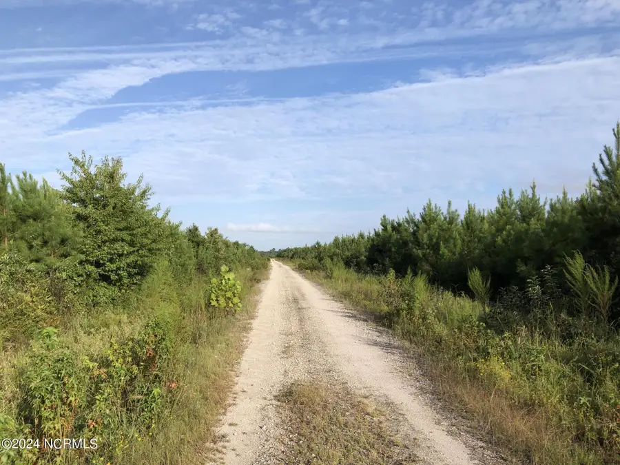 0 Off Plantation Rd, Trenton, NC 28585 - Image #3