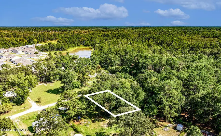 133 Shade Tree Lane Sw, Supply, NC 28462 - #3