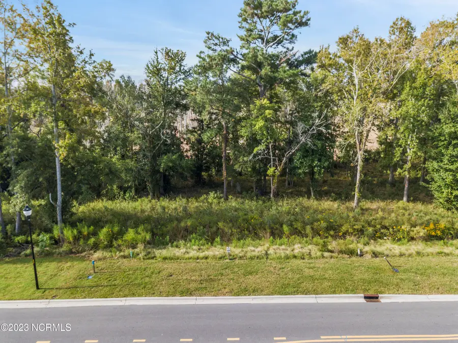 344 Preservation Point Avenue, Wilmington, NC 28401 - Image #2