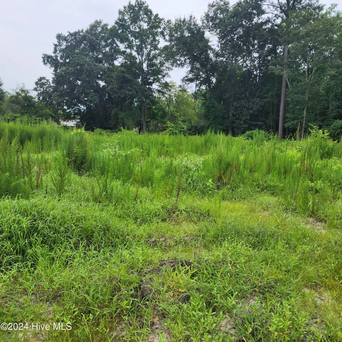 E1107 Eleven Farms Rd. Road, Salemburg, NC 28385 - #1