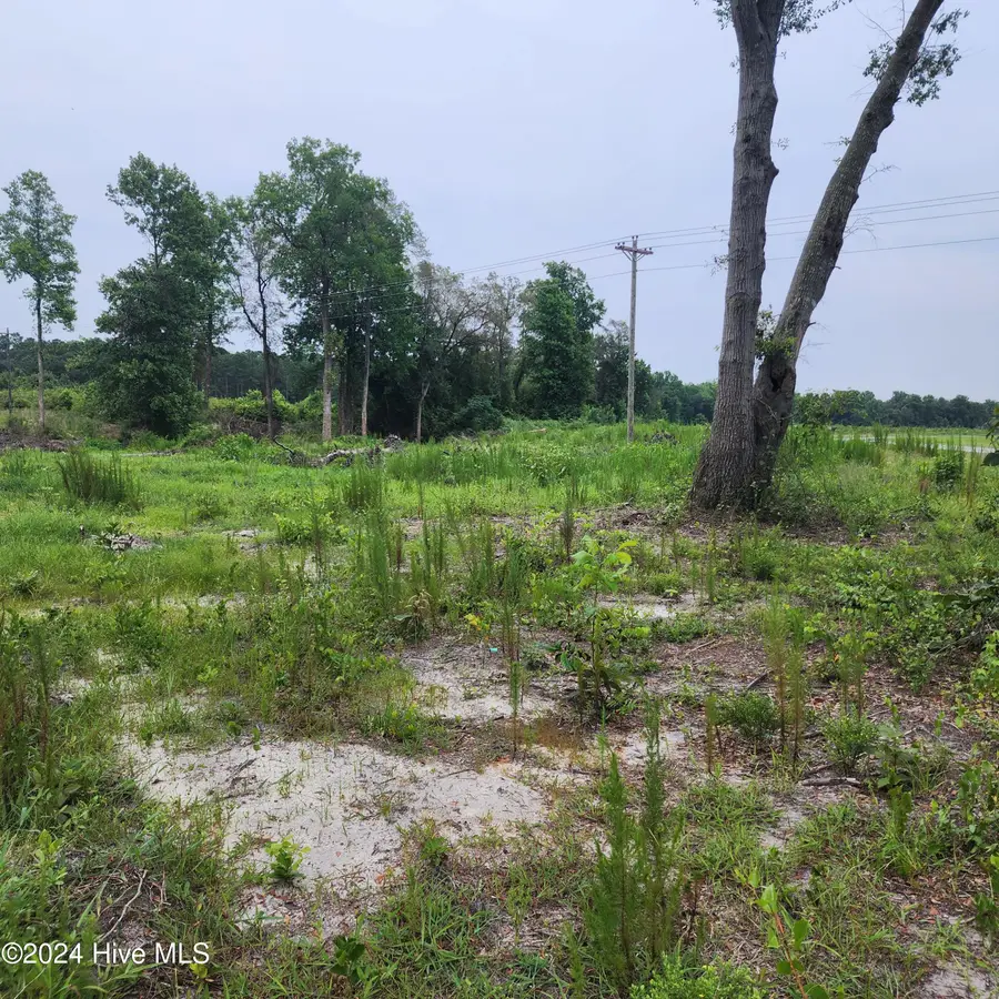 E1107 Eleven Farms Rd. Road, Salemburg, NC 28385 - #3