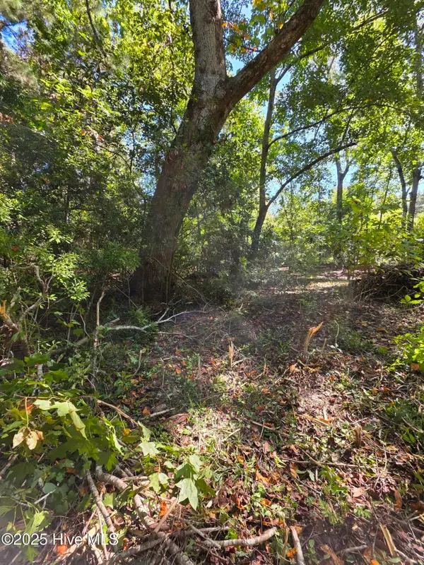 20 West High Bluff Drive, Hampstead, NC 28443