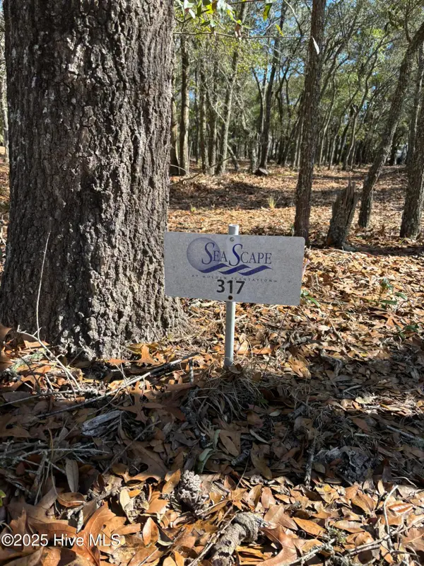 651 Valverda Street Sw, Supply, NC 28462