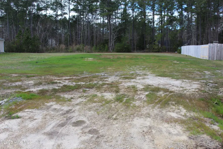 102 Wainwright Court, Havelock, NC 28532 - #2