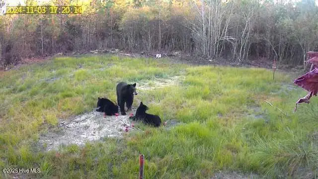 #2