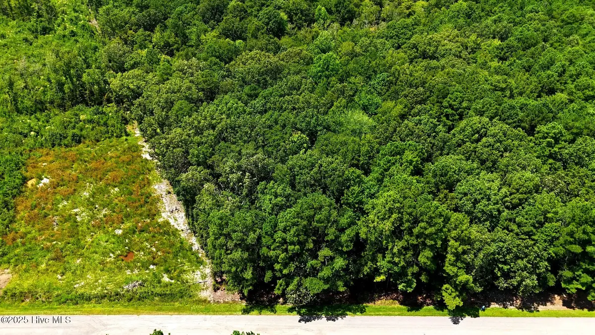 Tbd Boat Ramp Road, New Hope, NC 27944 - #1