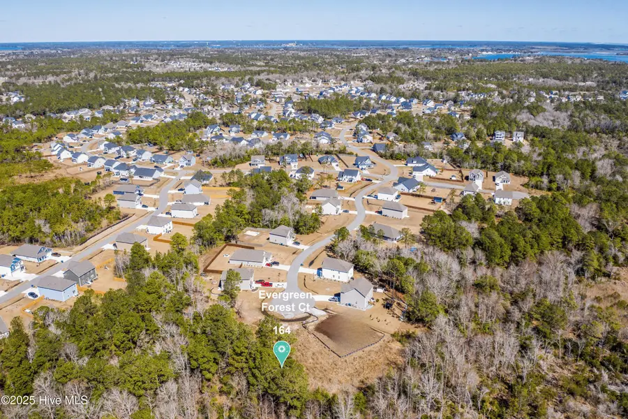 164 Evergreen Forest Court, Sneads Ferry, NC 28460 - Image #2