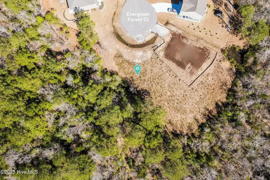 164 Evergreen Forest Court, Sneads Ferry, NC 28460 - Image #3