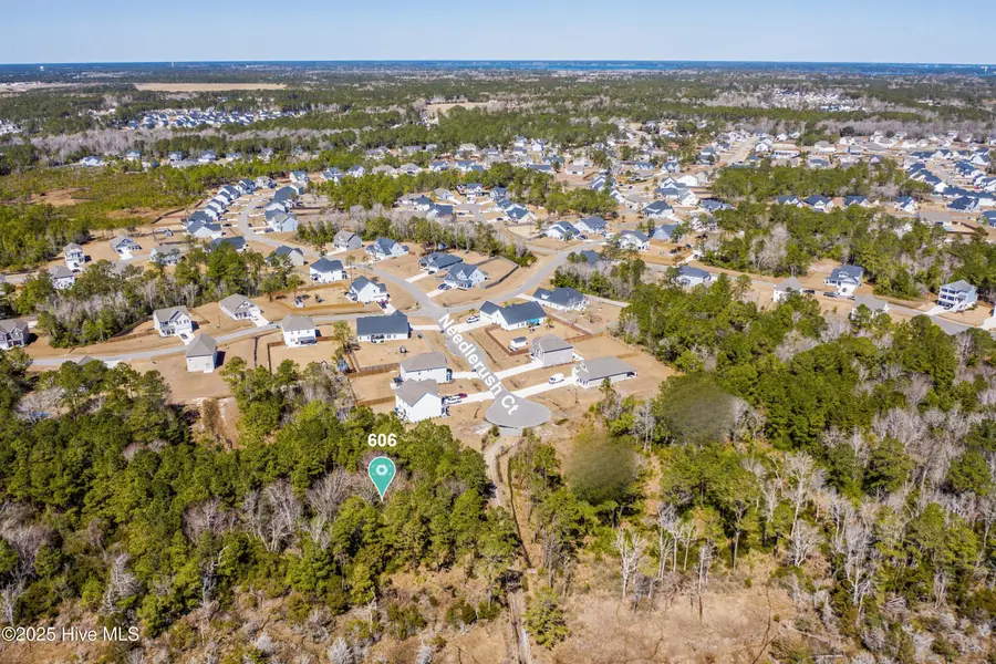606 Needlerush Court, Sneads Ferry, NC 28460 - #2