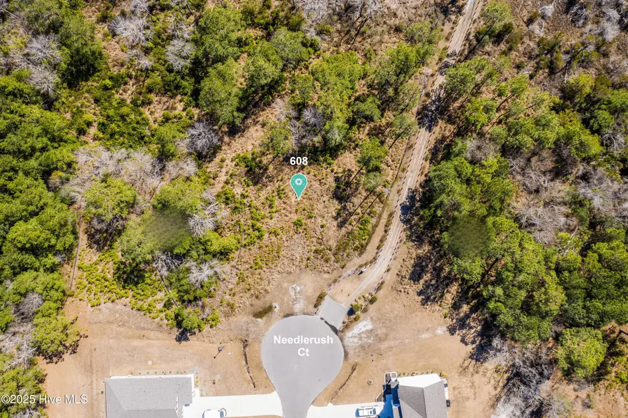 608 Needlerush Court, Sneads Ferry, NC 28460 - #3