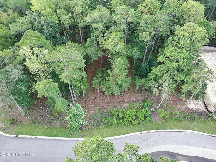 6075 Ocean Isle Palms Way Sw, Shallotte, NC 28470 - #3