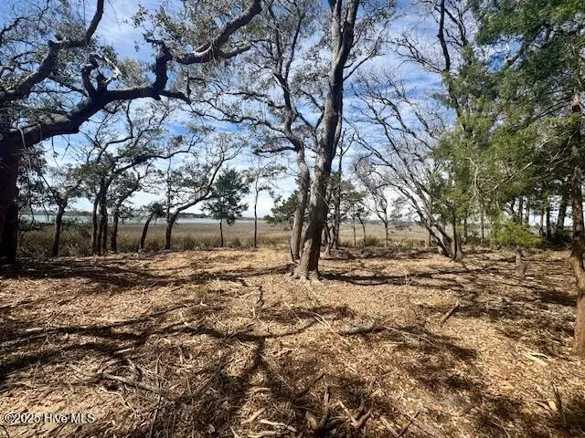 3 Windy Point Road Sw, Supply, NC 28462 - #2