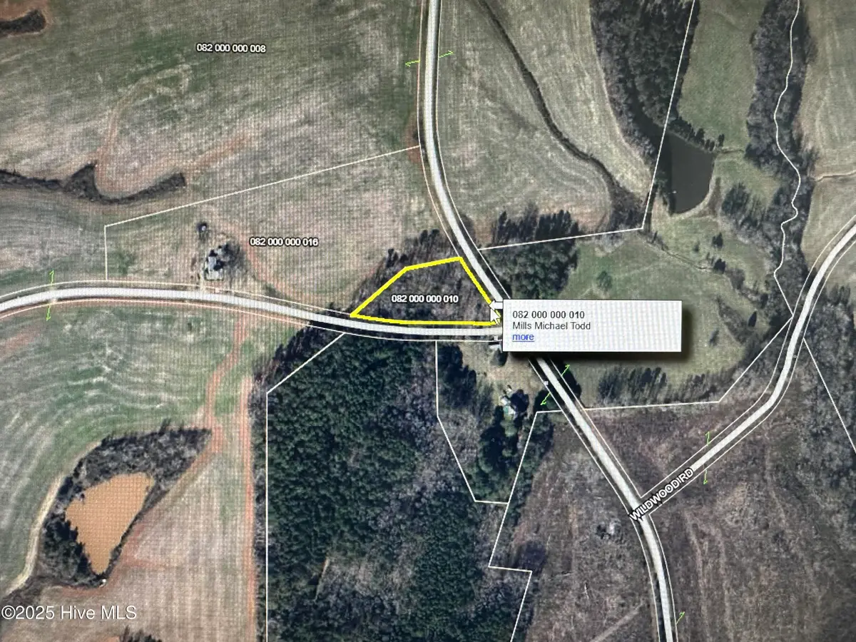 Tbd Hough Road, Mount Croghan, SC 29727 - Image #1