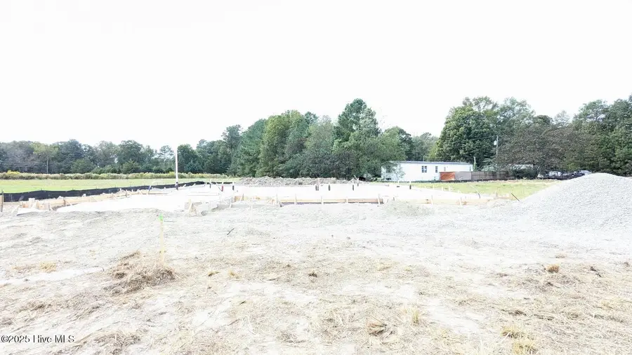 489 Sweet Potato Lane #Lot 11, Nashville, NC 27856 - Image #2