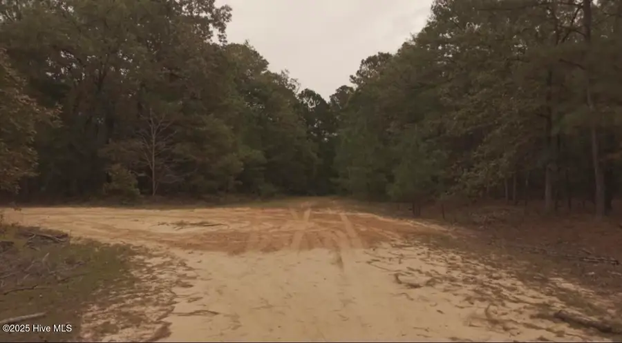 Tbd Brandon Circle, Laurinburg, NC 28352 - Image #3