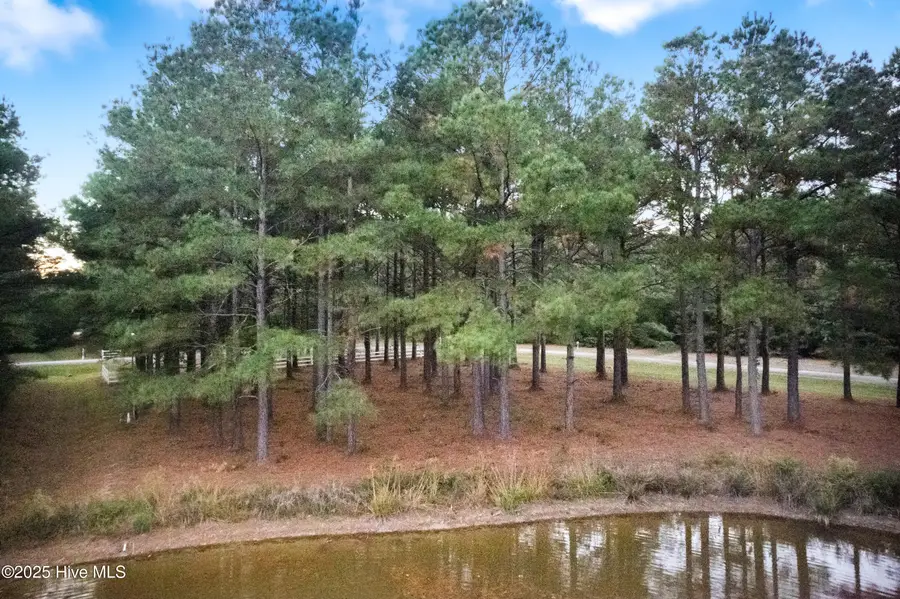 223 Plumtree Circle, Edenton, NC 27932 - Image #3