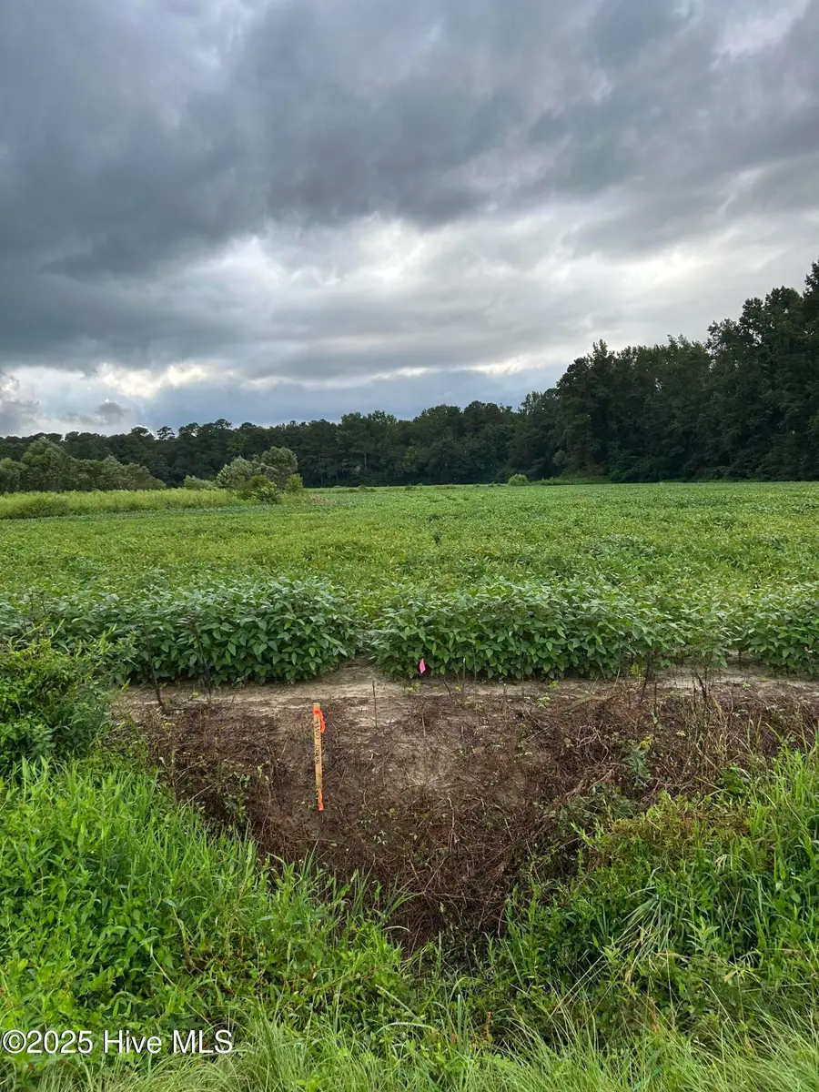 3 Hc Powers Road, Wallace, NC 28466 - Image #3