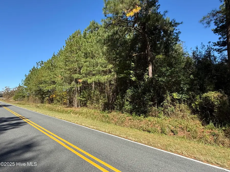 1.87 Acres Harrelson Road, Clarkton, NC 28433 - Image #2