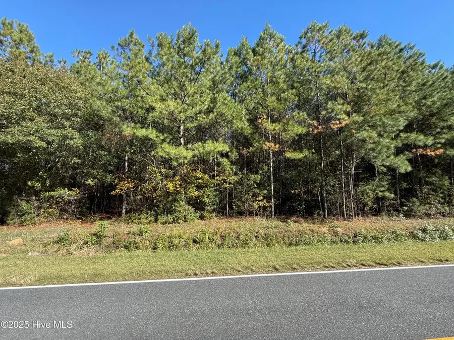 1.87 Acres Harrelson Road, Clarkton, NC 28433 - Image #3