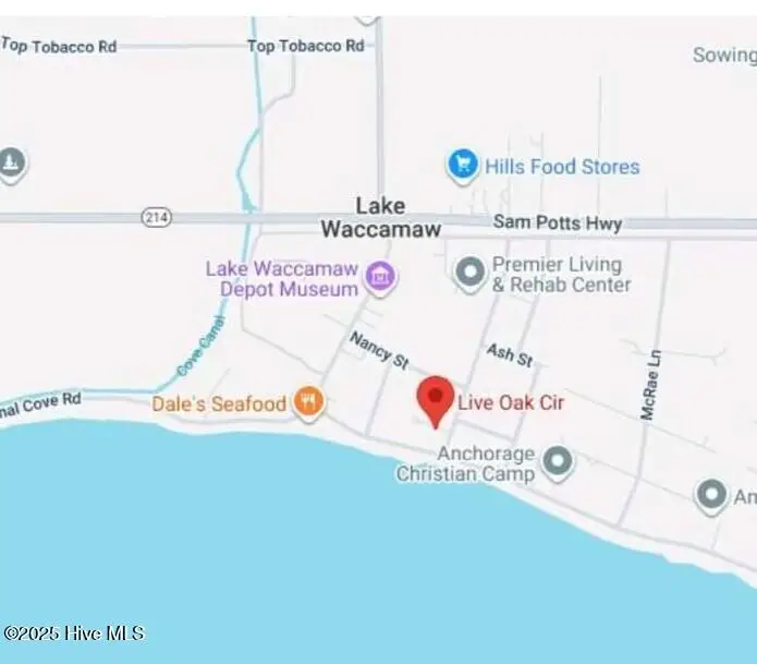 5 Near 205 Nancy Street, Lake Waccamaw, NC 28450 - Image #2