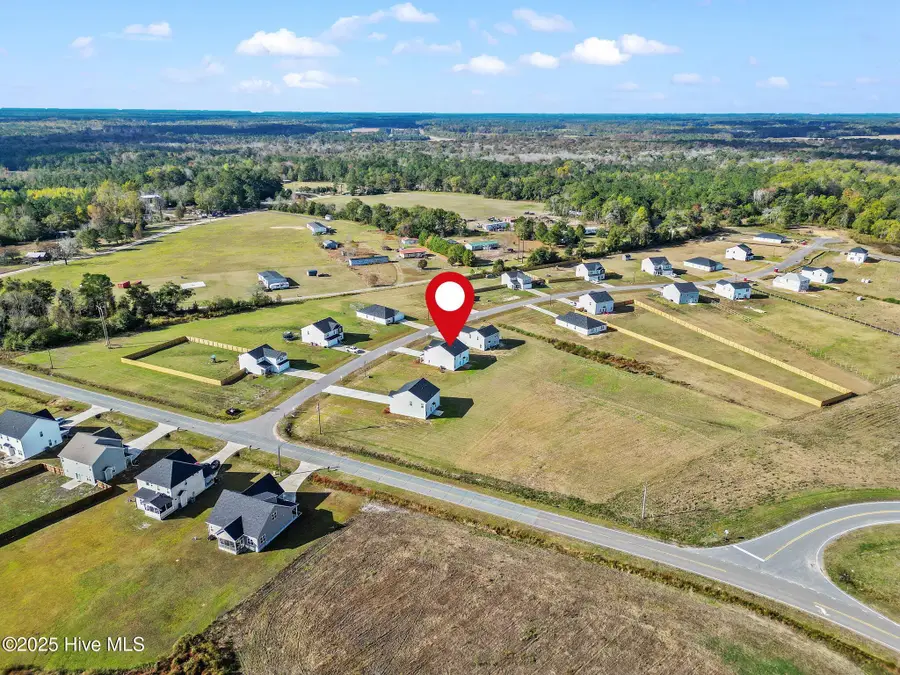 20 Buggy Top Lane, Autryville, NC 28318 - #3