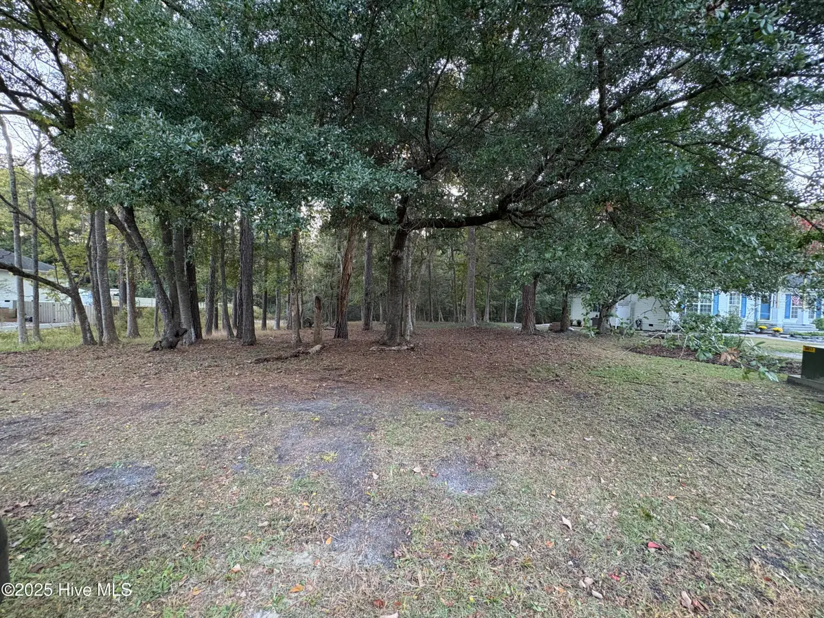 1618 Gores Landing Road Sw, Ocean Isle Beach, NC 28469 - Image #1