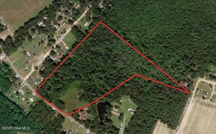 Tbd Us Hwy 904, Fairmont, NC 28340 - Image #2