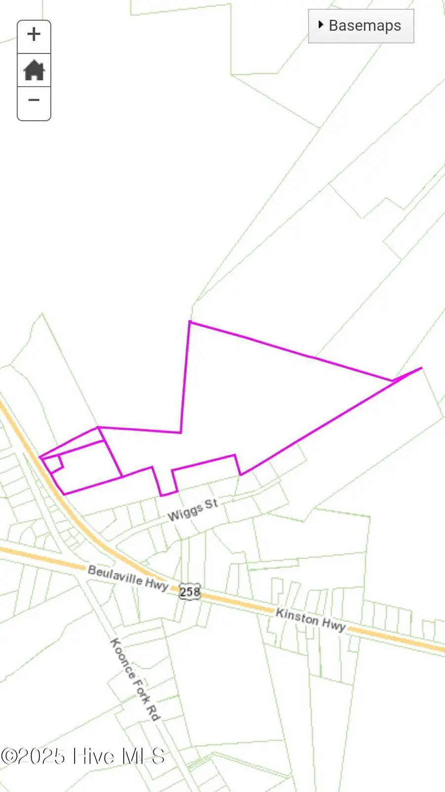 978 Kinston Highway, Richlands, NC 28574 - Image #3