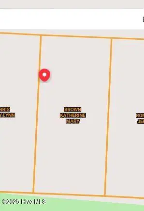 532 Bald Eagle Drive, Vass, NC 28394 - Image #2