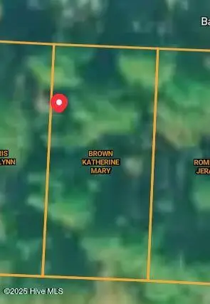 532 Bald Eagle Drive, Vass, NC 28394 - Image #3