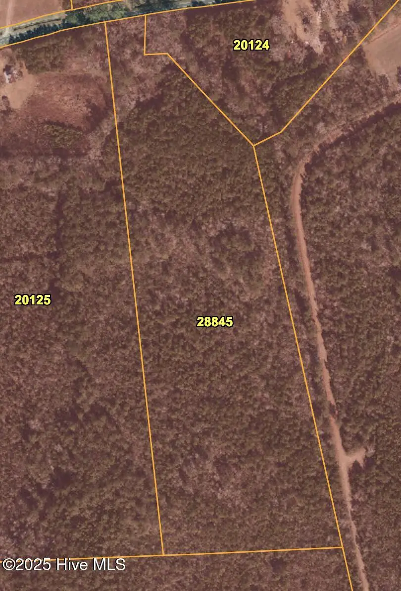 00 E Pleasant Hill Road, Pink Hill, NC 28572 - Image #2