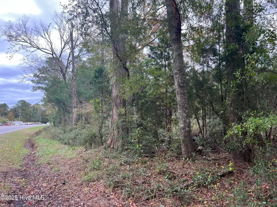 0 Nc 304, Bayboro, NC 28515 - Image #2