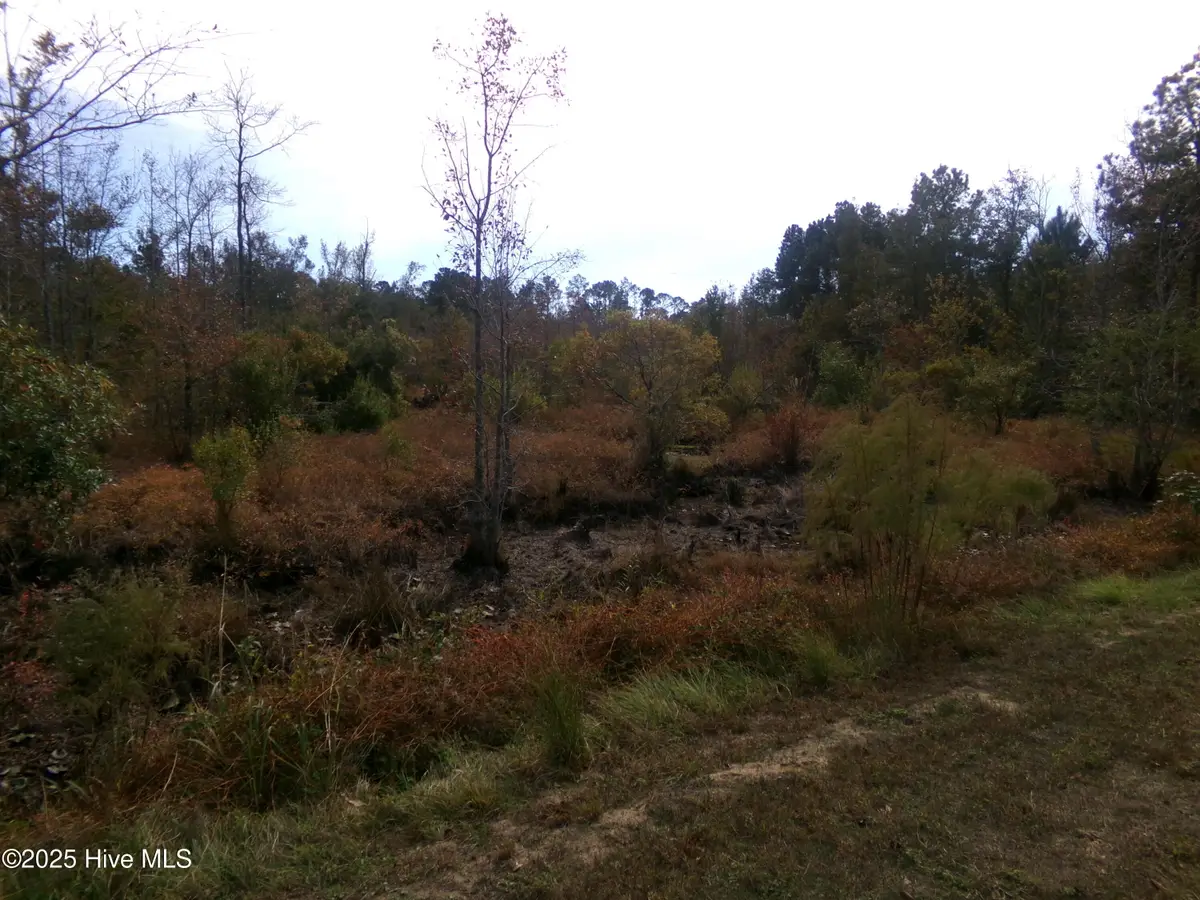 Lot  44964 Big Island Road, White Oak, NC 28399 - Image #1