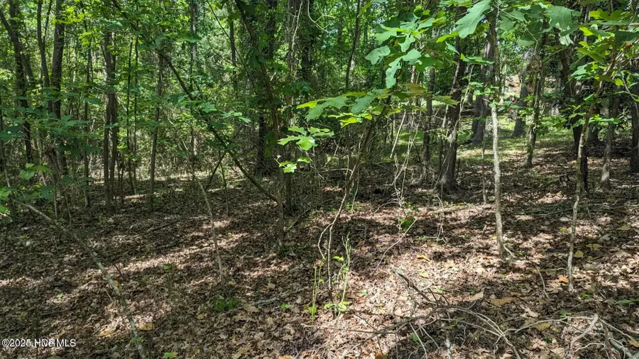 308 Buggy Drive W, Carthage, NC 28327 - Image #2