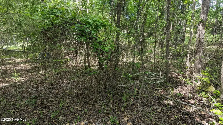 308 Buggy Drive W, Carthage, NC 28327 - Image #3