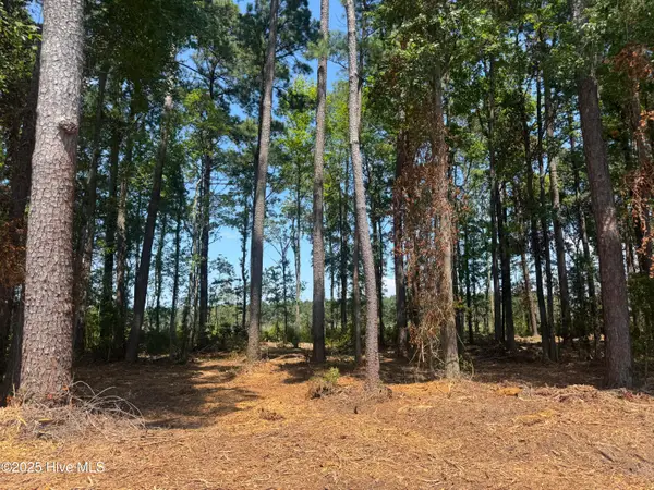 4102 Swamp Fox Highway, Tabor City, NC 28463